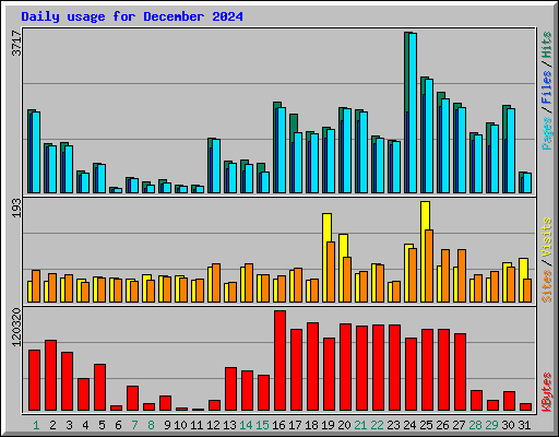 Daily usage for December 2024