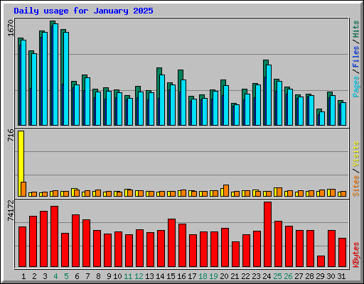 Daily usage for January 2025
