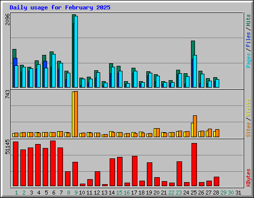 Daily usage for February 2025