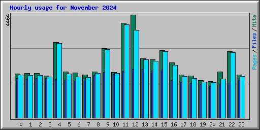 Hourly usage for November 2024