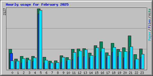 Hourly usage for February 2025