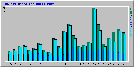 Hourly usage for April 2025