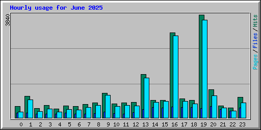 Hourly usage for June 2025