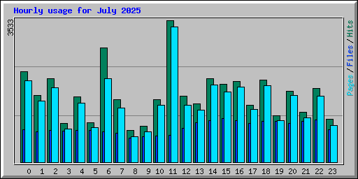 Hourly usage for July 2025