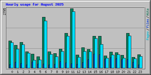 Hourly usage for August 2025